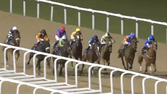 Tuco wins at Newcastle
